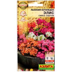 Льюизия котиледон Элис, смесь