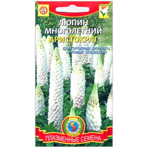 Люпин Аристократ