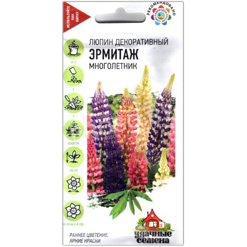 Люпин декоративный Эрмитаж