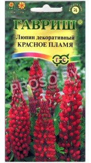 Люпин декоративный Красное пламя