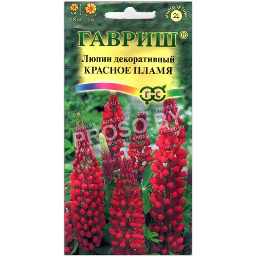 Люпин декоративный Красное пламя