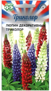 Люпин декоративный Триколор