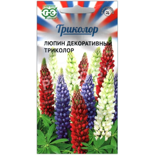 Люпин декоративный Триколор