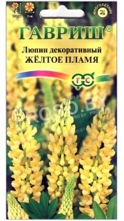 Люпин декоративный Желтое пламя