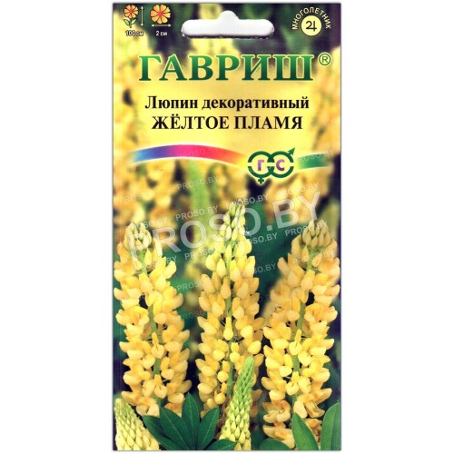 Люпин декоративный Желтое пламя