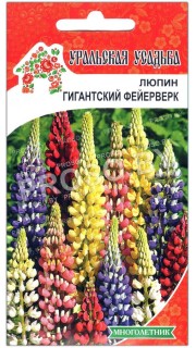 Люпин Гигантский фейерверк