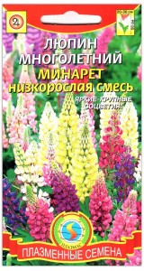 Люпин Минарет, смесь