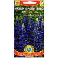 Люпин многолетний Правитель