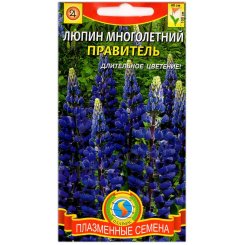 Люпин многолетний Правитель