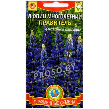 Люпин многолетний Правитель
