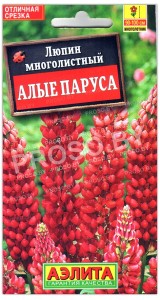 Люпин многолистный Алые паруса