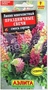 Люпин многолистный Праздничные свечи, смесь