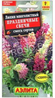 Люпин многолистный Праздничные свечи, смесь