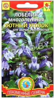 Лобелия многолетняя Уютный уголок