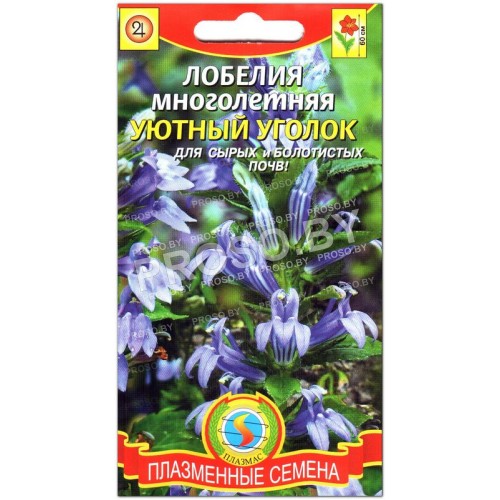 Лобелия многолетняя Уютный уголок