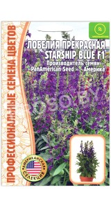 Лобелия прекрасная Starship blue F1