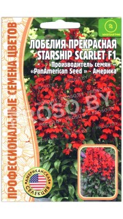 Лобелия прекрасная Starship scarlet F1