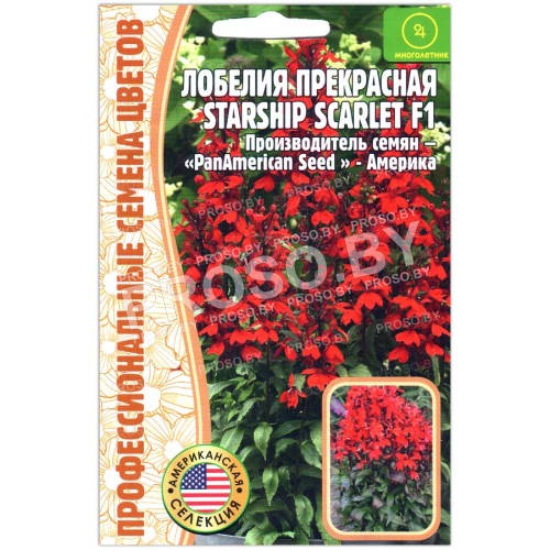 Лобелия прекрасная Starship scarlet F1