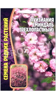 Луизиания Миндаль трехлопастный
