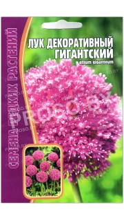 Лук декоративный Гигантский