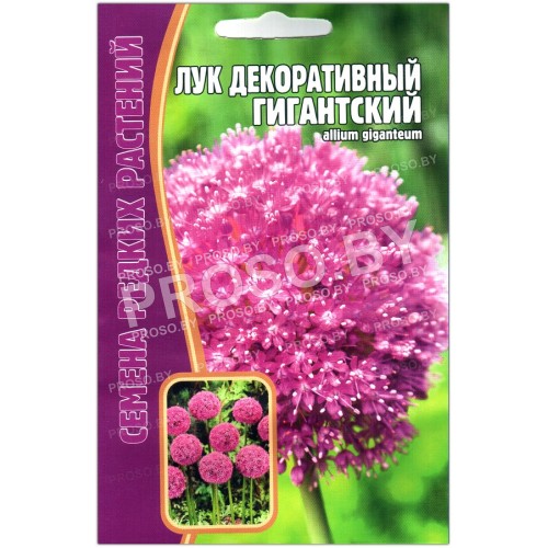 Лук декоративный Гигантский