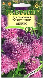 Лук стареющий Воздушное облако