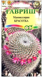 Маммиллярия Красотка