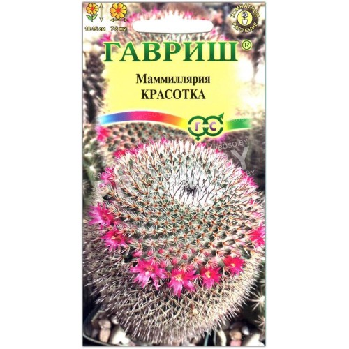Маммиллярия Красотка