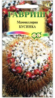 Маммиллярия Бусинка