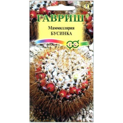 Маммиллярия Бусинка