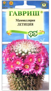 Маммиллярия Летиция