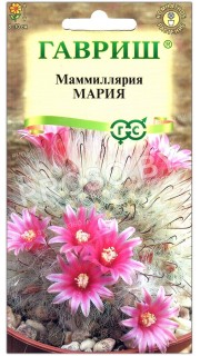 Маммиллярия Мария