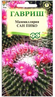 Маммиллярия Сан пико