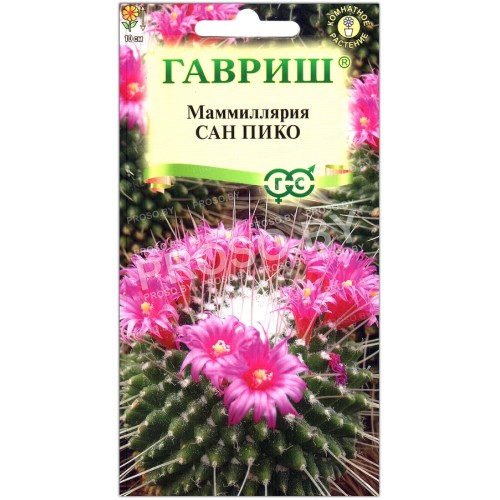 Маммиллярия Сан пико