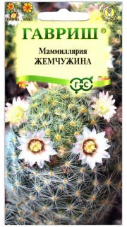 Маммиллярия Жемчужина