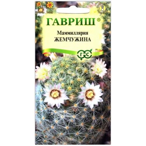 Маммиллярия Жемчужина