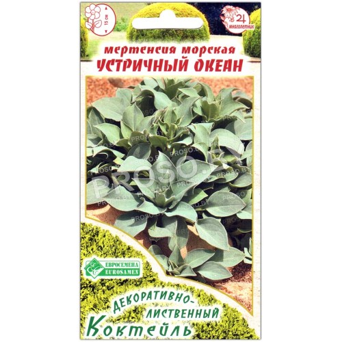 Мертензия морская Устричный океан