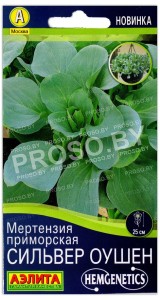 Мертензия приморская Сильвер оушен