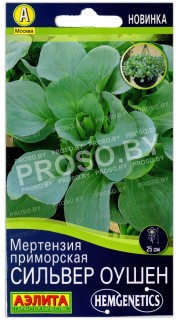 Мертензия приморская Сильвер оушен