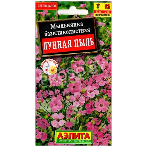 Мыльнянка базиликолистная Лунная пыль