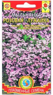 Мыльнянка базиликолистная Розовая лужайка