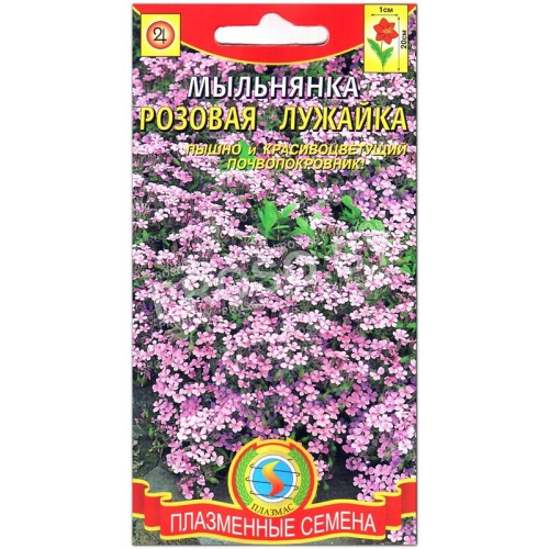 Мыльнянка базиликолистная Розовая лужайка