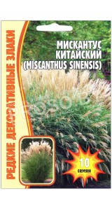 Мискантус Китайский