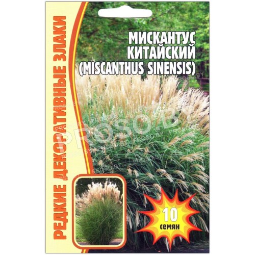 Мискантус Китайский