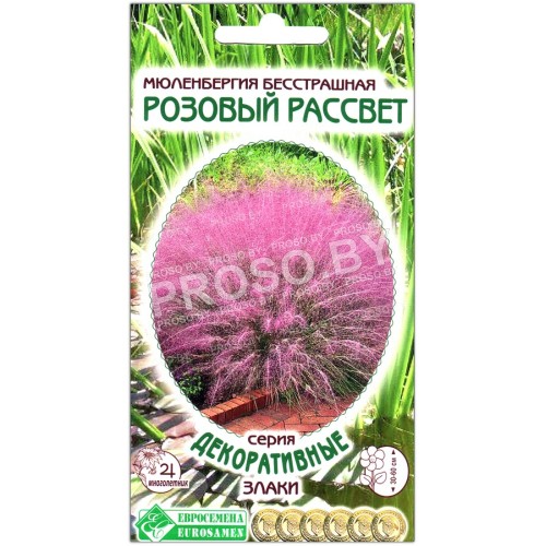 Мюленбергия бесстрашная Розовый рассвет
