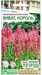 Многоколосник кана Виват король