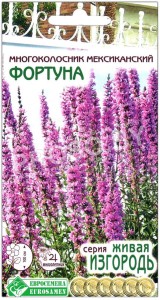 Многоколосник мексиканский Фортуна