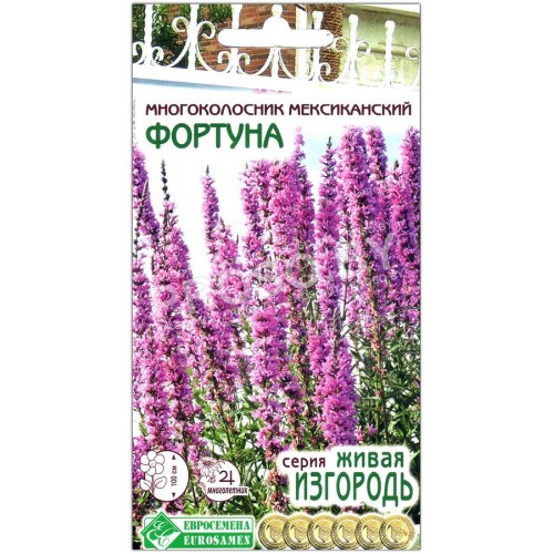 Многоколосник мексиканский Фортуна