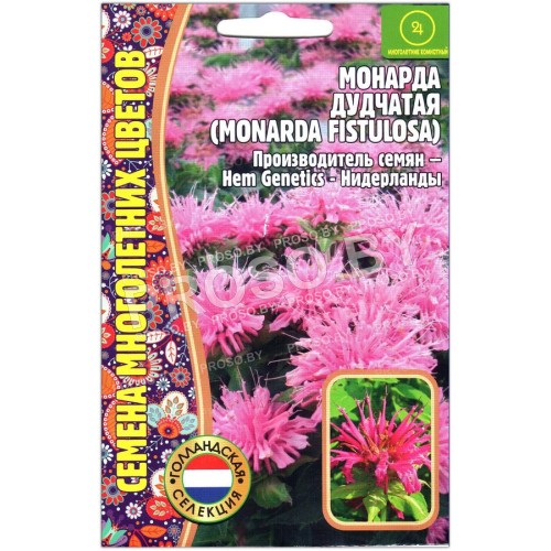 Монарда дудчатая Fistulosa