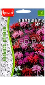 Монарда двойчатая Микс
